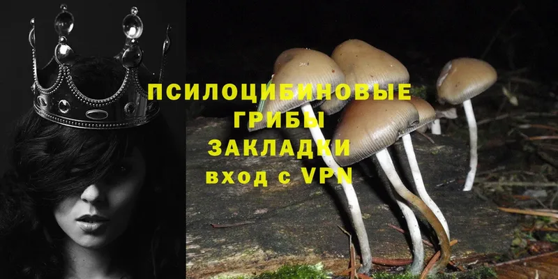 ОМГ ОМГ ССЫЛКА  Елизово  Галлюциногенные грибы Cubensis 